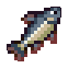 Black Fish icon