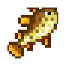 Festive Cichlid icon