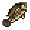Killifish icon