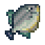 Saurel icon