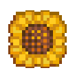 Sunflower icon