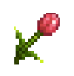 Tulip icon